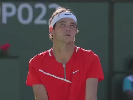 森林狼历史 森林狼历史